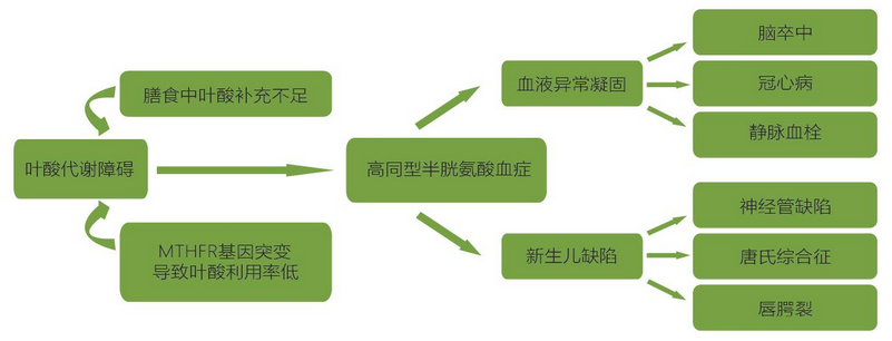 365Ӣ������(����)���޹�˾-Official website