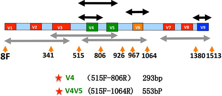 365Ӣ������(����)���޹�˾-Official website