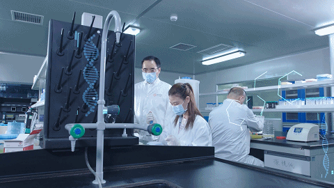 365Ӣ������(����)���޹�˾-Official website