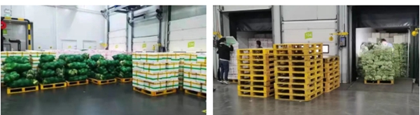 365Ó¢¹úÉÏÊÐ(¼¯ÍÅ)ÓÐÏÞ¹«Ë¾-Official website